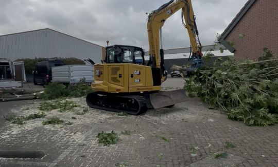 Foto van de blog Bomen kappen Gouderak van Elenbaas boomverzorging
